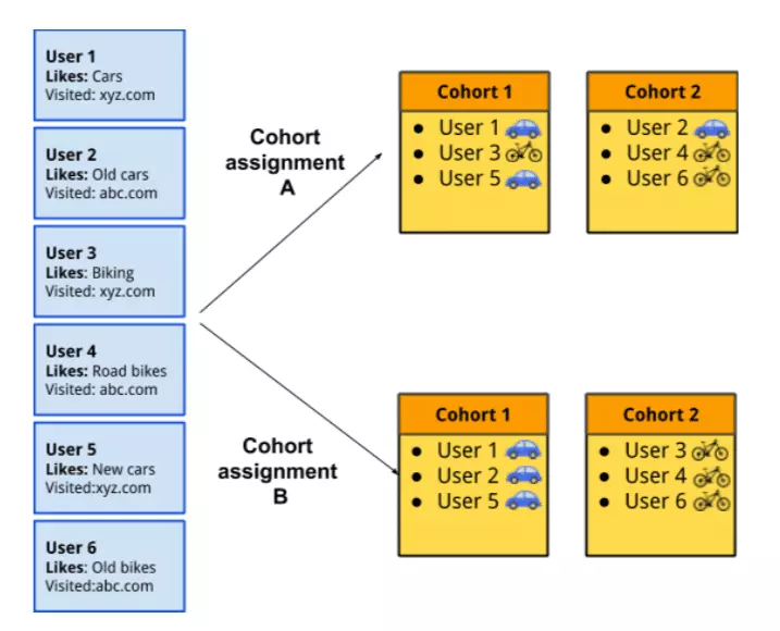 Cohort Algorithm Work flow