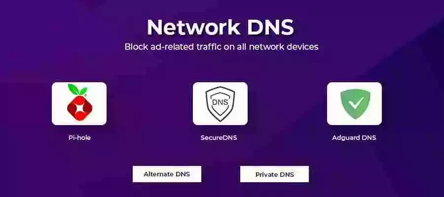 Network DNS