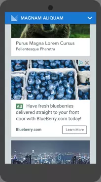 In Feed Native Ads